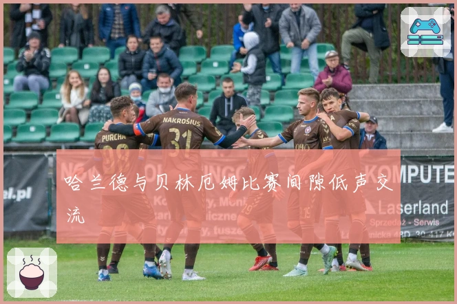 哈兰德与贝林厄姆比赛间隙低声交流