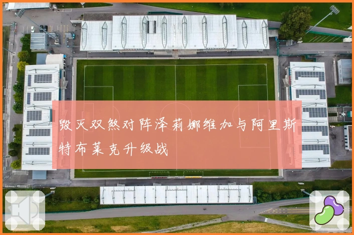 毁灭双煞对阵泽莉娜维加与阿里斯特布莱克升级战