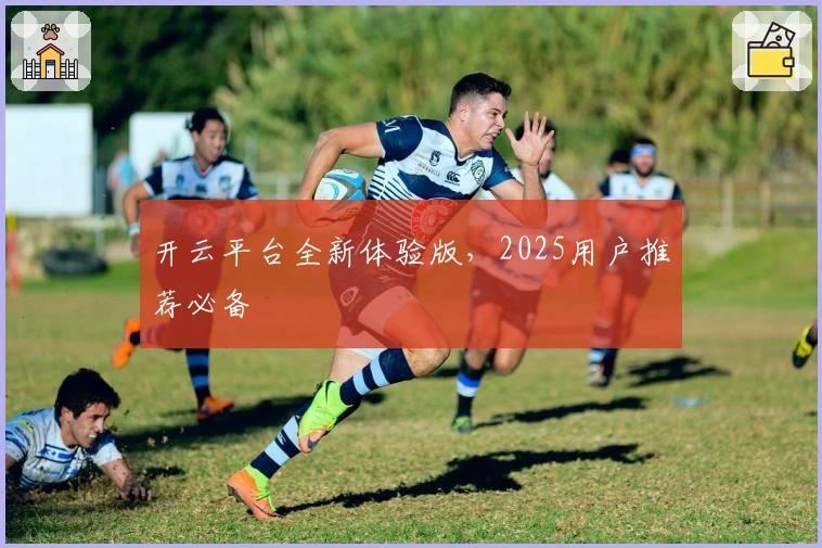 开云平台全新体验版，2025用户推荐必备