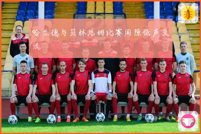 哈兰德与贝林厄姆比赛间隙低声交流