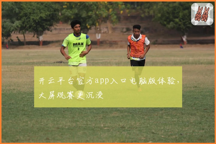 开云平台官方app入口电脑版体验，大屏观赛更沉浸